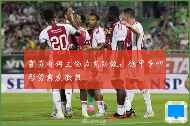 霍芬海姆主场力克劲敌，德甲争四形势愈发激烈