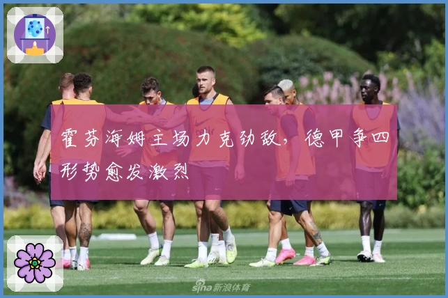 霍芬海姆主场力克劲敌，德甲争四形势愈发激烈