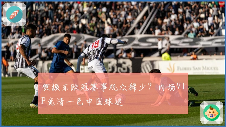 樊振东欧冠赛事观众稀少？内场VIP竟清一色中国球迷